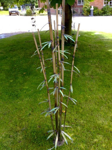 Bamboo